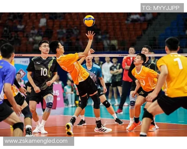 排球纪实：记录上海排球队的逆袭之旅